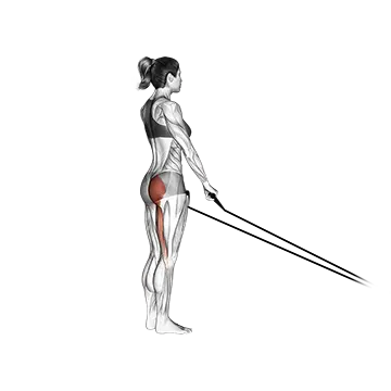 Best Resistance Band Hamstring Workouts Band Single Stiff Leg Deadlift