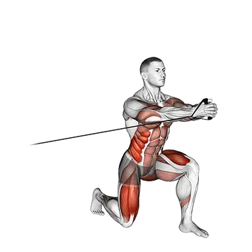 Band Split Squat With Horizontal Pallof Hold