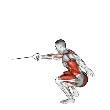 Band Squat With Single Arm Row