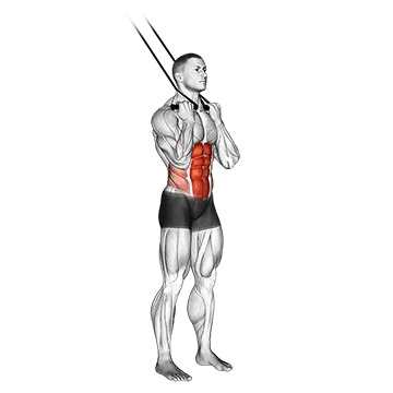 Best Standing Ab Workouts Band Standing Crunch