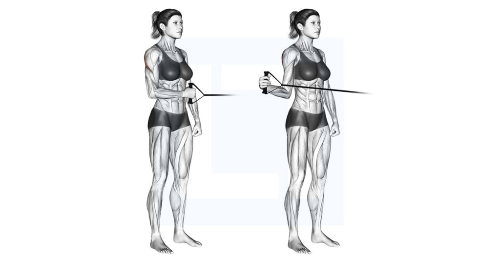 Band Standing External Shoulder Rotation Exercise Guide
