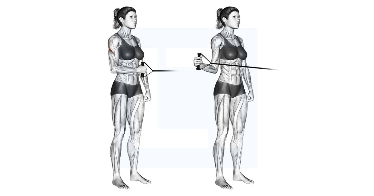 Band Standing External Shoulder Rotation