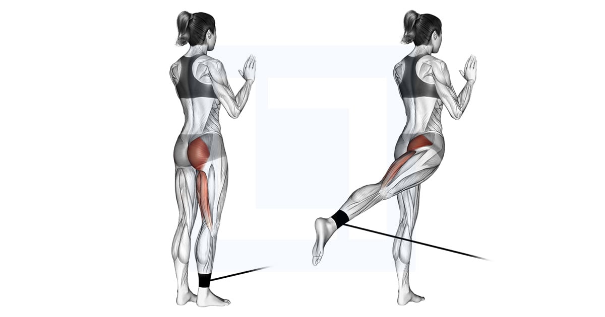 Band Standing Hip Extension