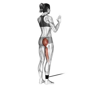 Band Standing Hip Extension