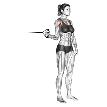 Best At Home Shoulder Workouts Band Standing Internal Shoulder Rotation