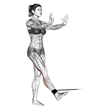 Band Standing Leg Curl