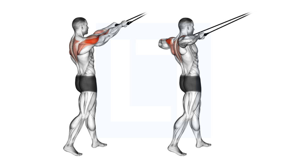 Banded Rear Delt Rows Band Standing Rear Delt Row: Banded Face Pull