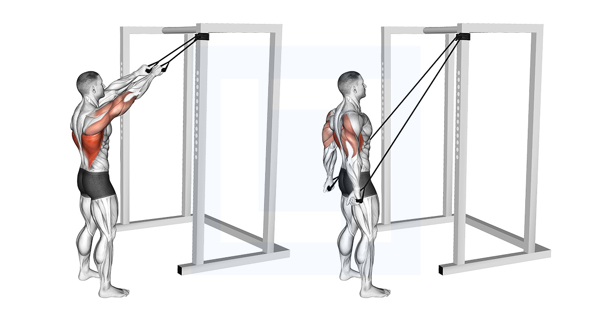 Band Standing Straight Arm Pulldown
