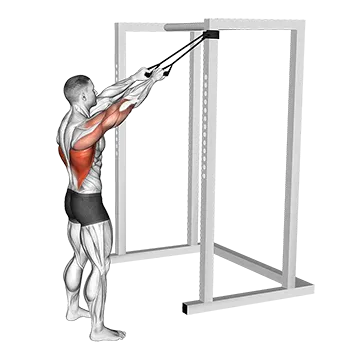 Band Standing Straight Arm Pulldown