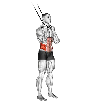 Best Resistance Band Core Workouts Band Standing Twisting Crunch