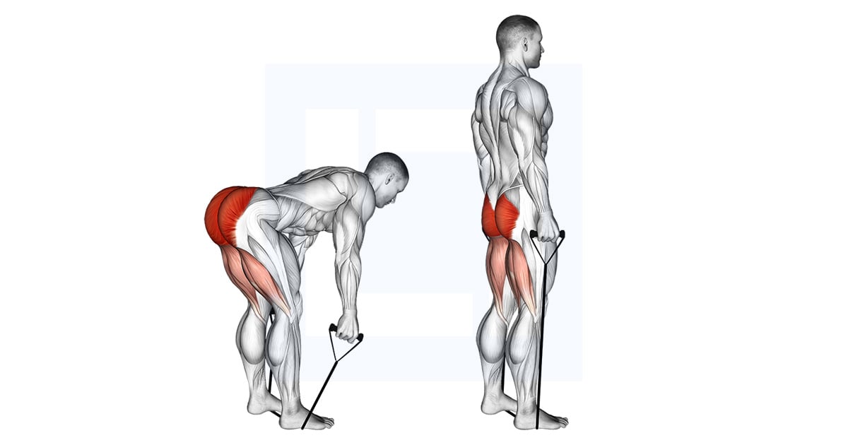 Band Straight Back Stiff Leg Deadlift