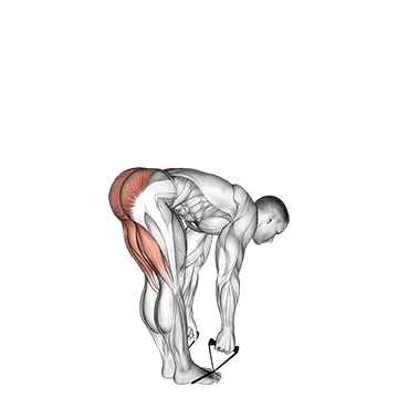 Best Resistance Band Hamstring Workouts Band Straight Leg Deadlift