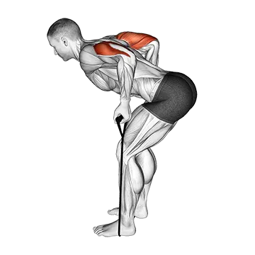 Best Resistance Band Arm Workouts Band Triceps Kickback