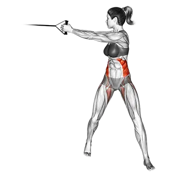 Best Resistance Band Oblique Workouts Band Twist