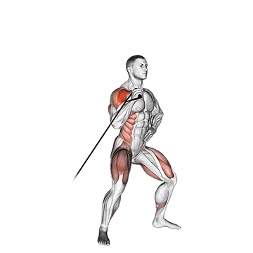 Band Twisting Overhead Press