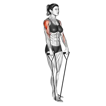Best Resistance Band Shoulder Workouts Band Upright Row