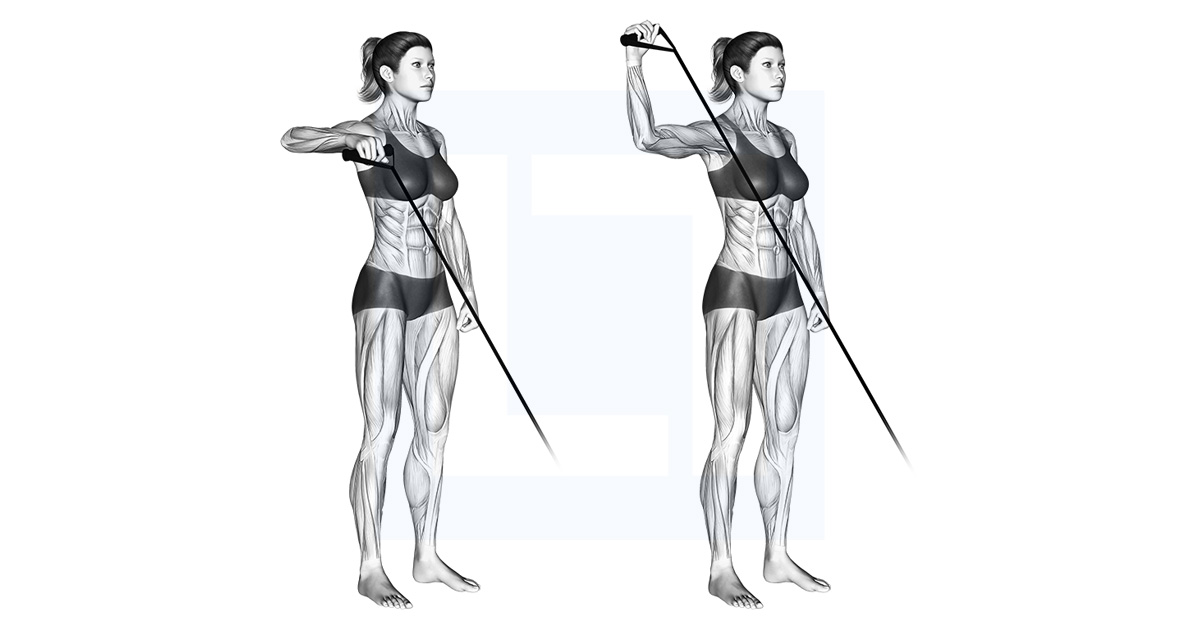 Band Upright Shoulder External Rotation