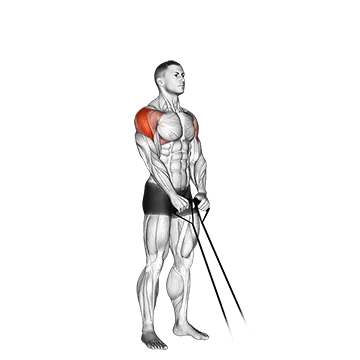 Best Resistance Band Shoulder Workouts Band Y Raise