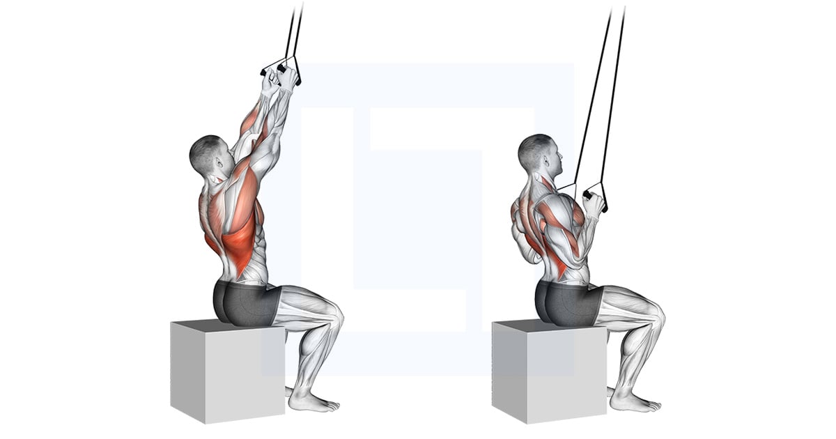 Banded Back Close Grip Pulldown