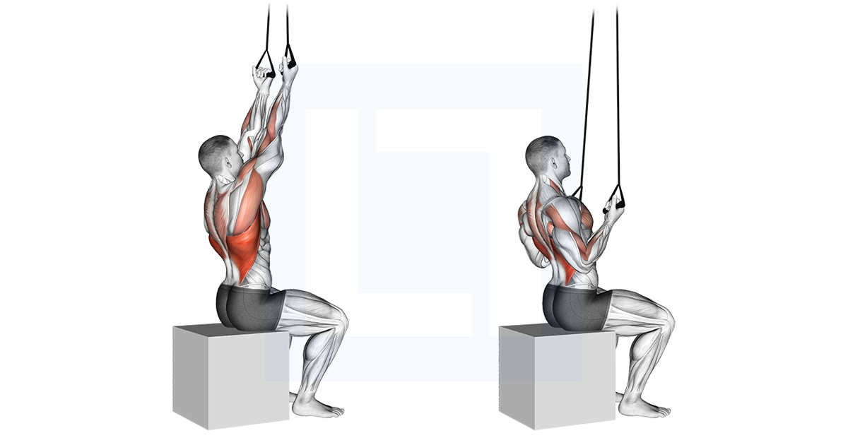 Banded Back Underhand Pulldown