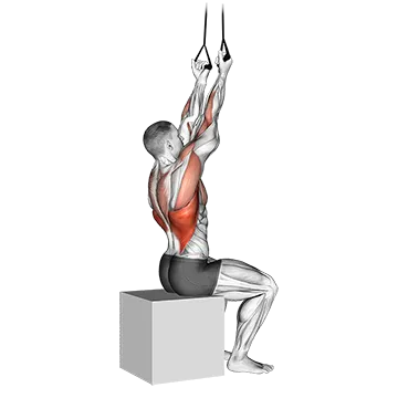 Banded Back Underhand Pulldown