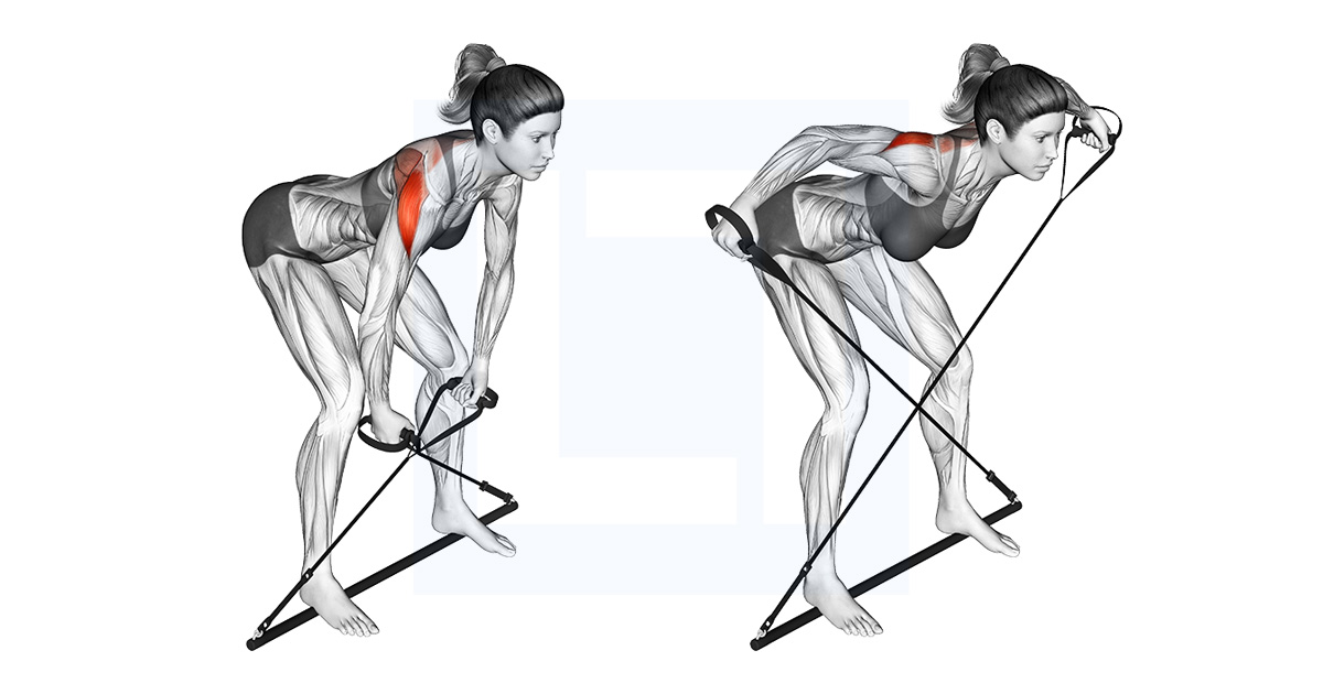 Bar Band Bent Over Rear Delt Fly