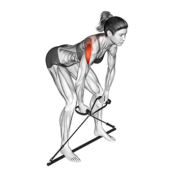 Bar Band Bent Over Rear Delt Fly