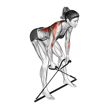 Best Resistance Band Lat Workouts Bar Band Bent Over Row