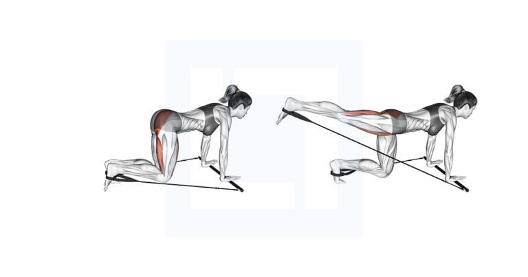 Kick Bar Bar Band Kneeling Single Leg Kick