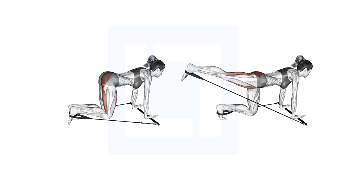 Bar Band Kneeling Single Leg Kick