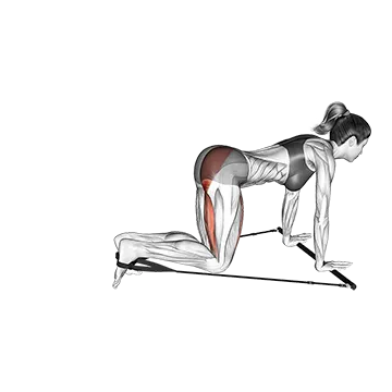 Bar Band Kneeling Single Leg Kick