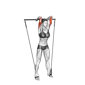 Best Long Head Tricep Exercises Bar Band Overhead Triceps Extension