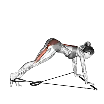Bar Band Single Leg Reverse Hyperextension