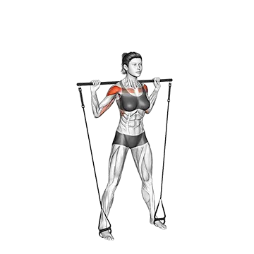 Best Resistance Band Tricep Workouts Bar Band Standing Behind Head Military Press