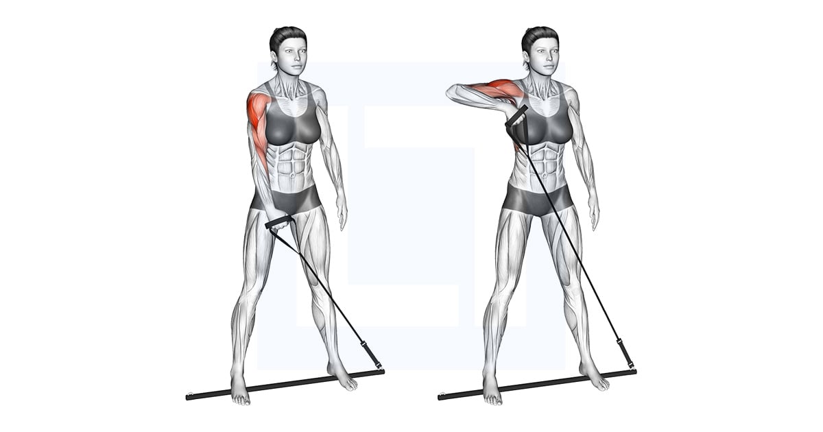 Bar Band Standing Single Arm Upright Row