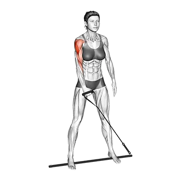 Bar Band Standing Single Arm Upright Row