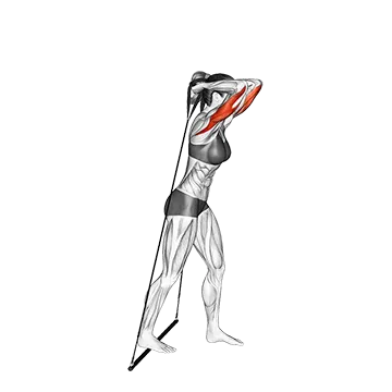 Bar Band Standing Triceps Extension
