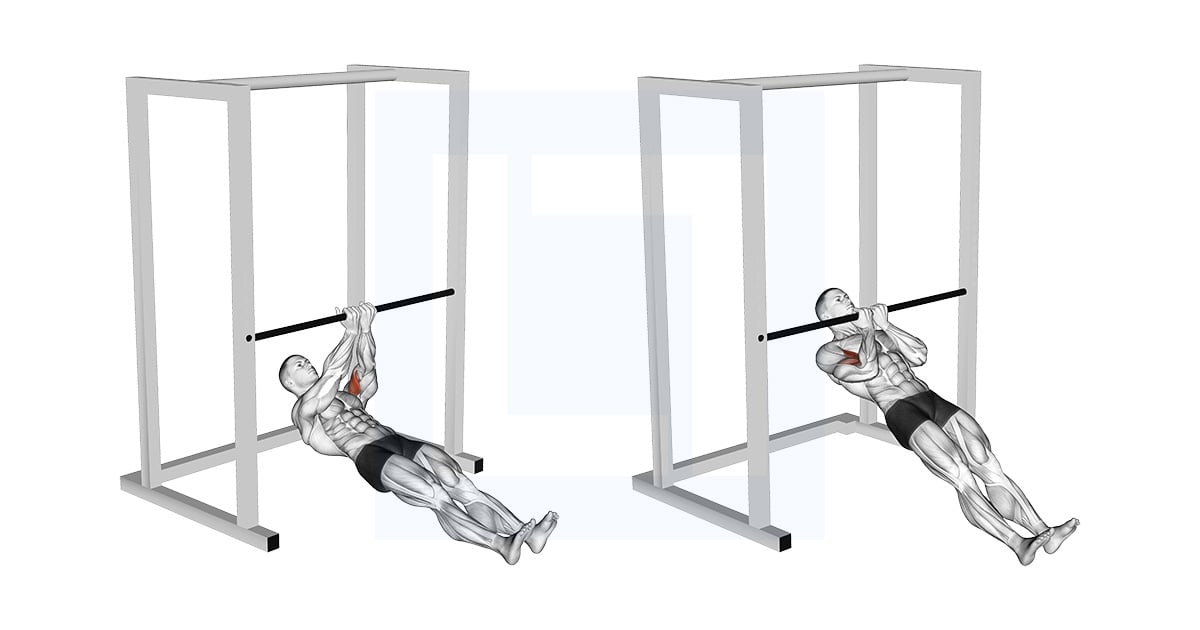 Bar Close Grip Biceps Curl