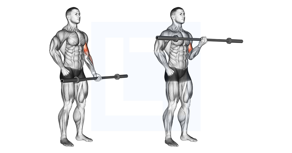 Barbell Alternate Biceps Curl