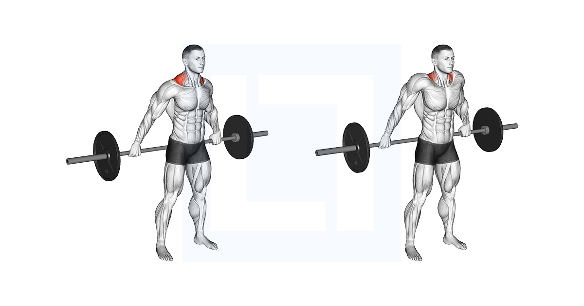 Barbell Back Wide Shrug