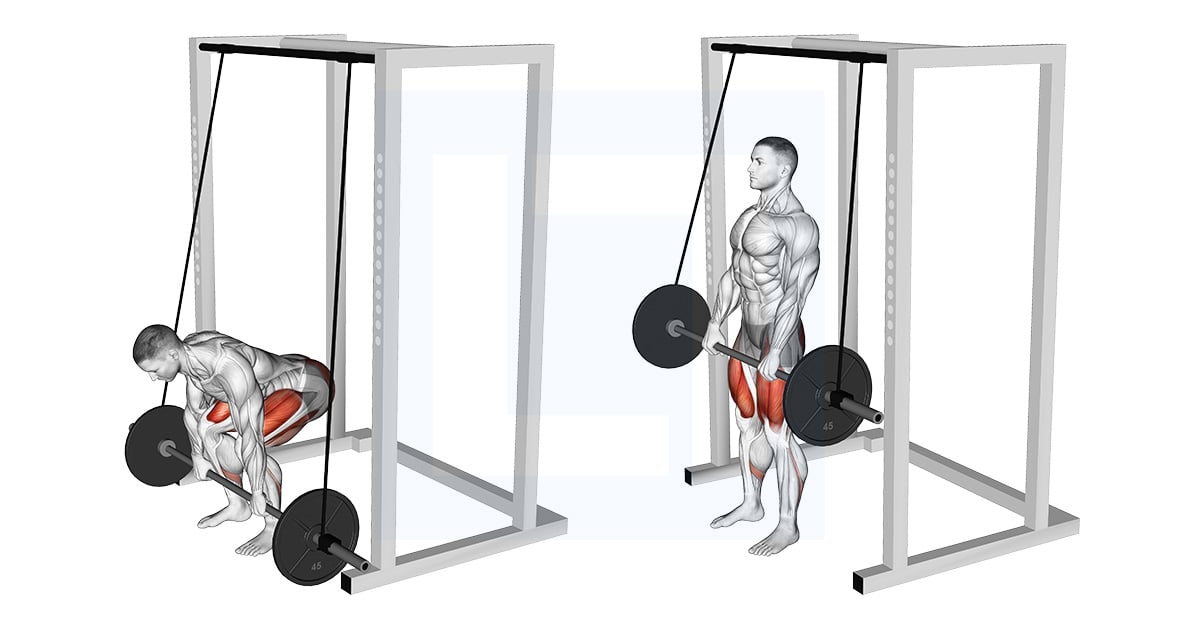 Barbell Band Assisted Deadlift