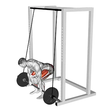 Barbell Band Assisted Deadlift