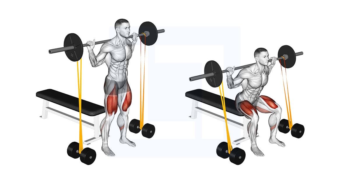Barbell Banded Bench Squat