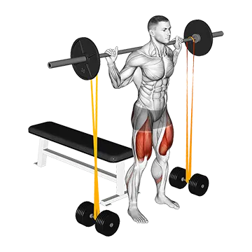 Barbell Banded Bench Squat