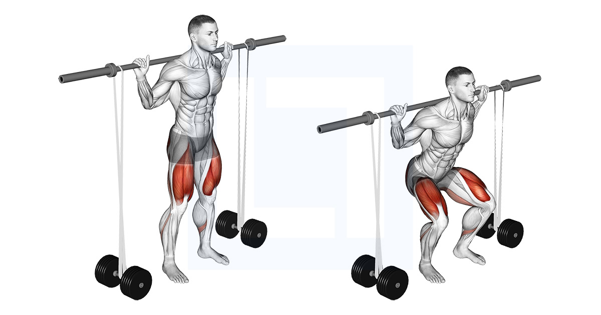 Barbell Banded Squat