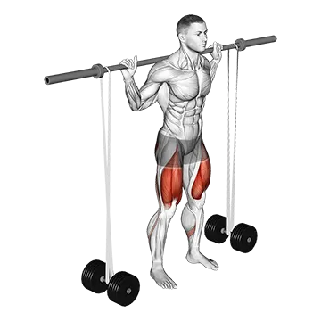 Barbell Banded Squat