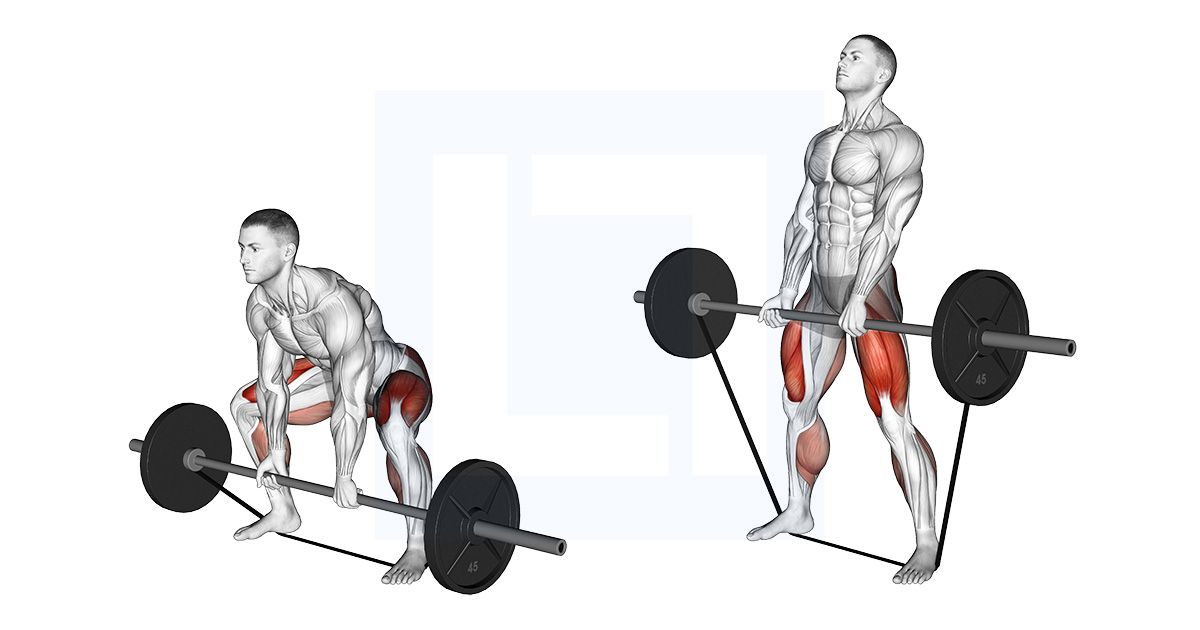Barbell Banded Sumo Deadlift