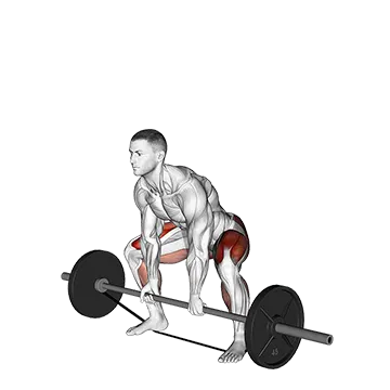 Barbell Banded Sumo Deadlift