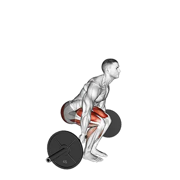 Best Barbell Forearm Workouts Barbell Behind The Back Deadlift