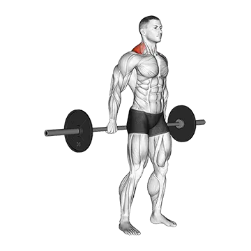 Best Barbell Trap Workouts Barbell Behind The Back Shrug